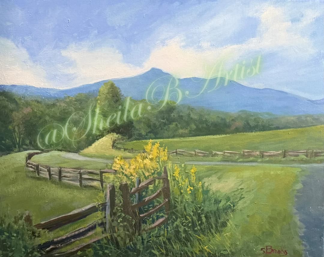 BlueRidgeTinyMail — image 4