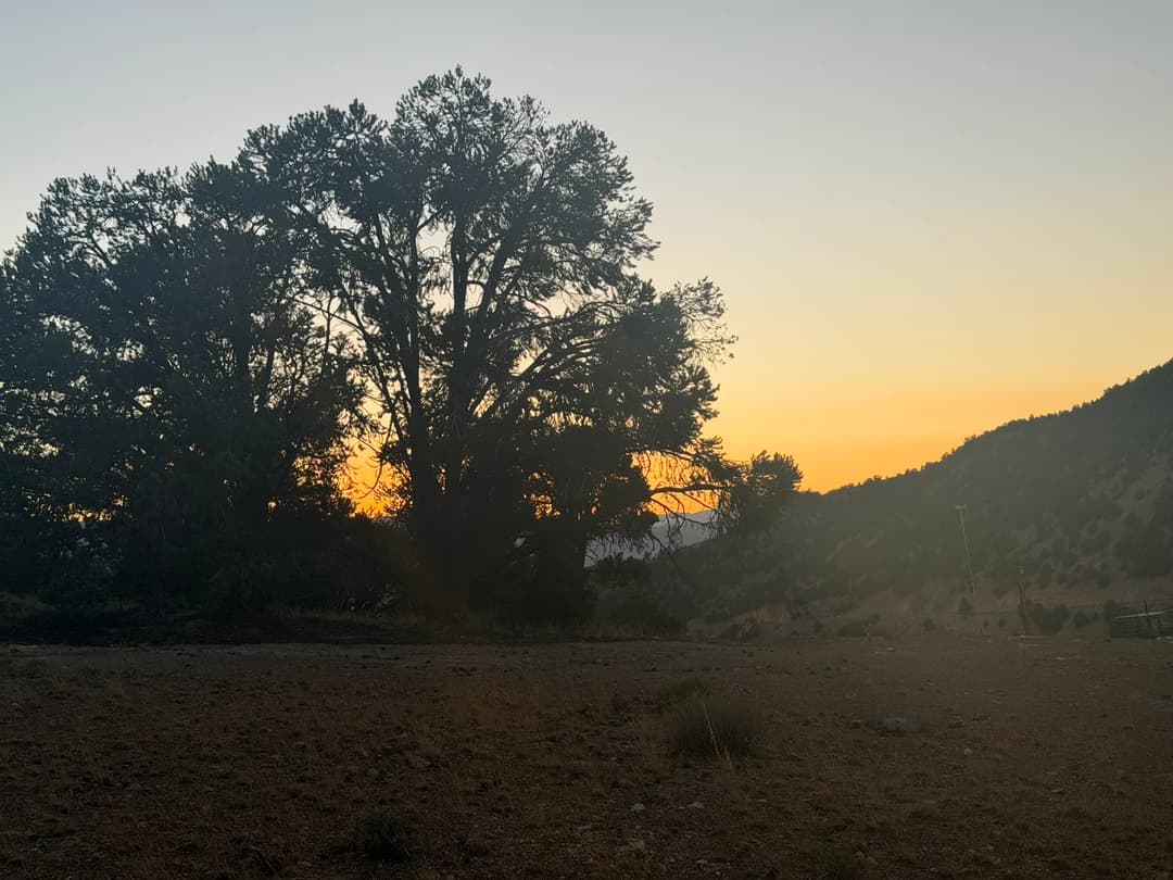 Letters from Rmomma — image 6