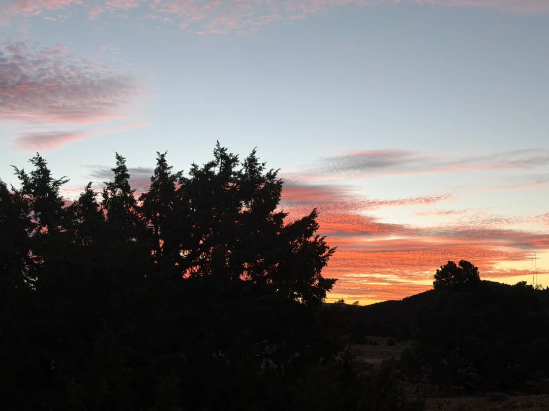 Letters from Rmomma — image 7