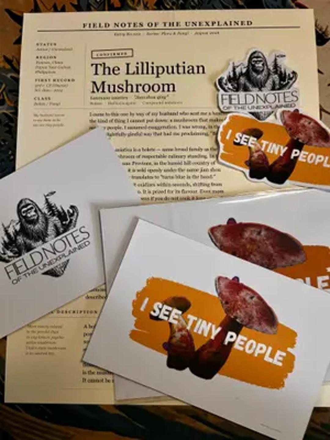 Field Notes of the Unexplained thumbnail 2