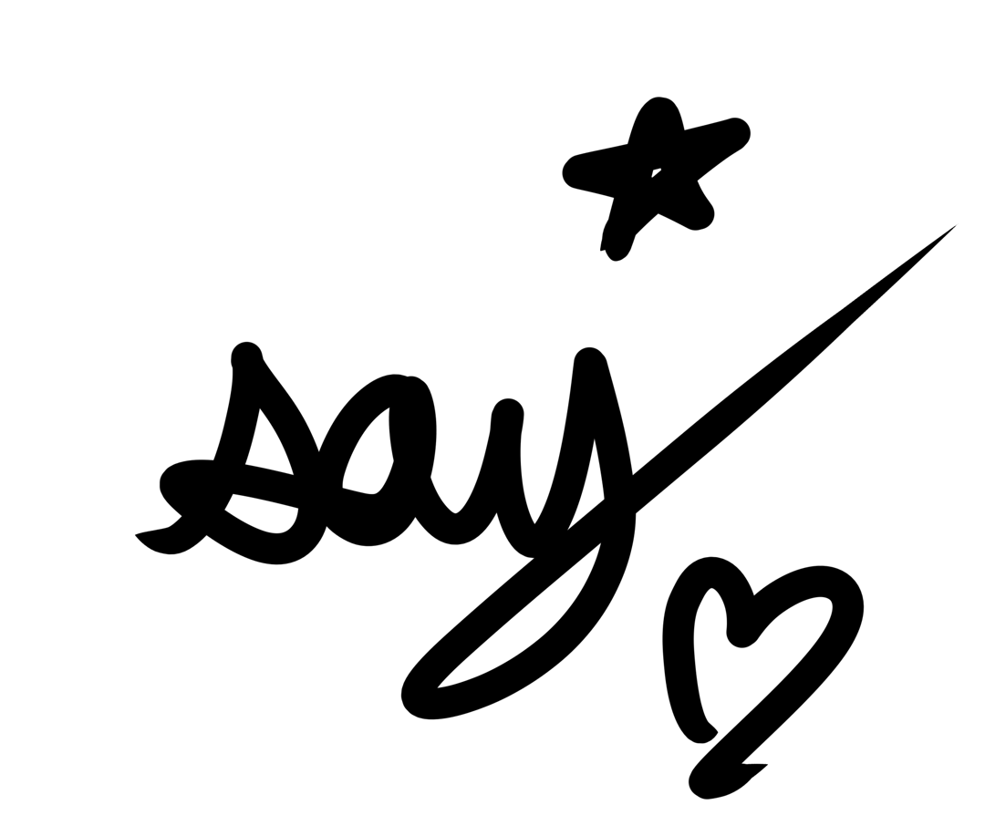 SAY’S ART CLUB signature