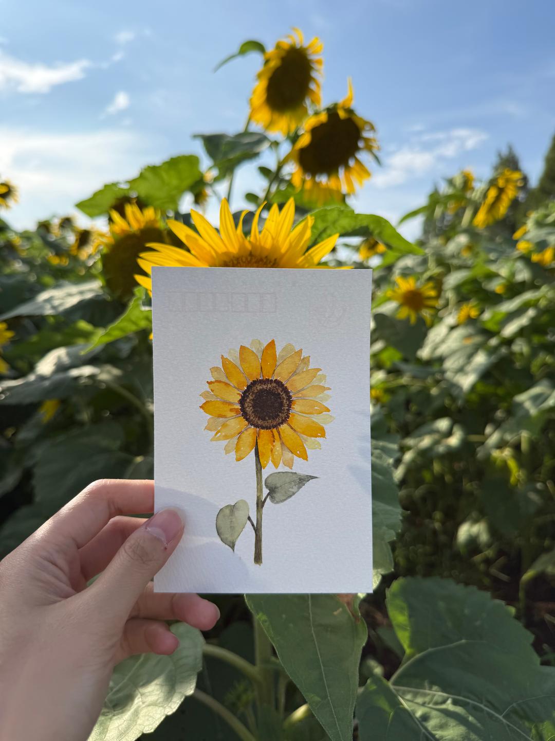Preview of August 2026 mailing, photo 2