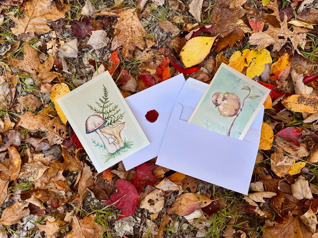 WildWhimsy — image 1