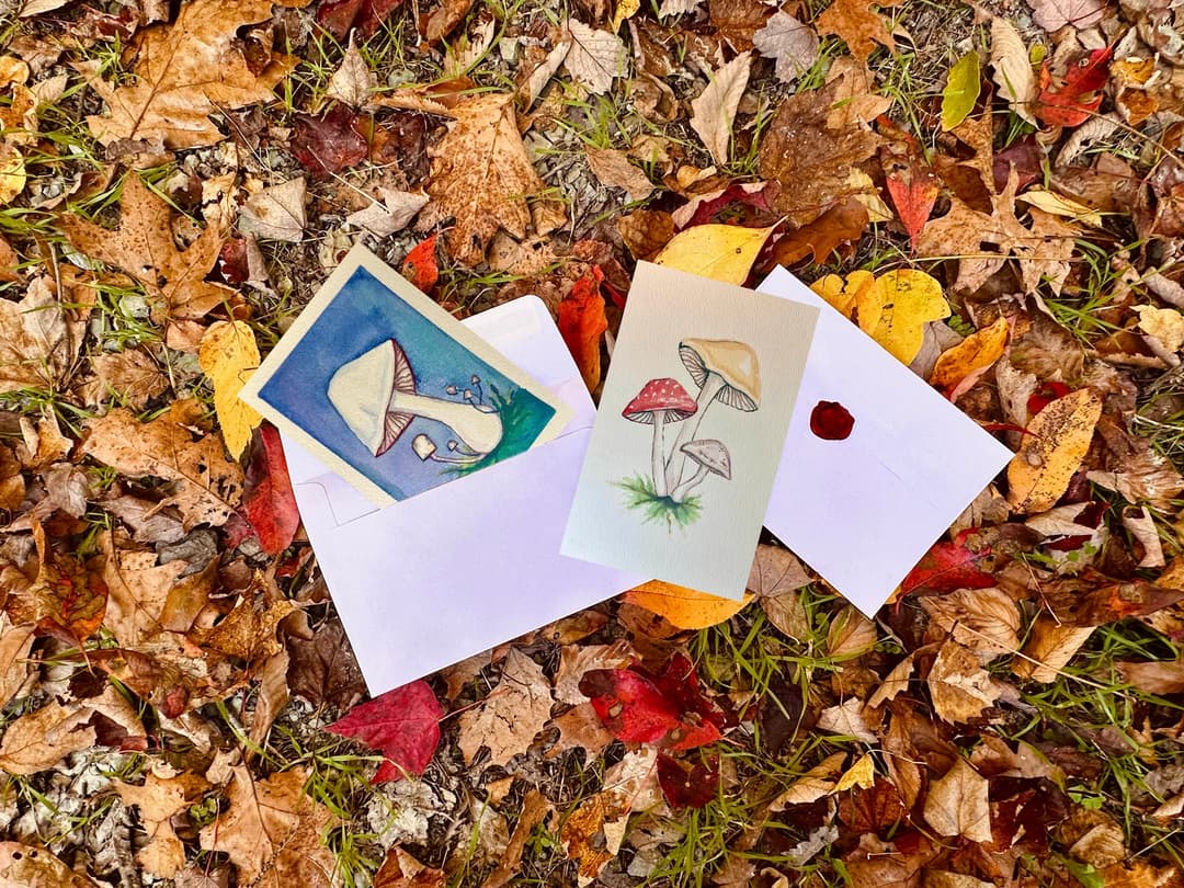 WildWhimsy — image 2