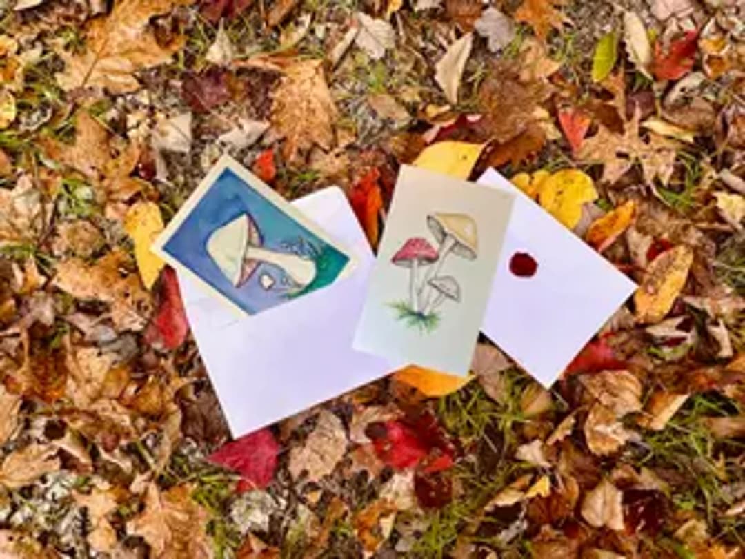 WildWhimsy thumbnail 2
