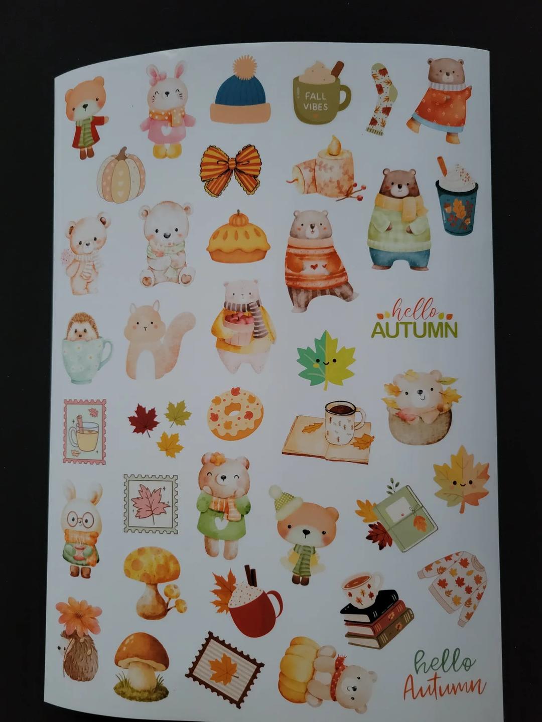 snail mail tmy — image 4