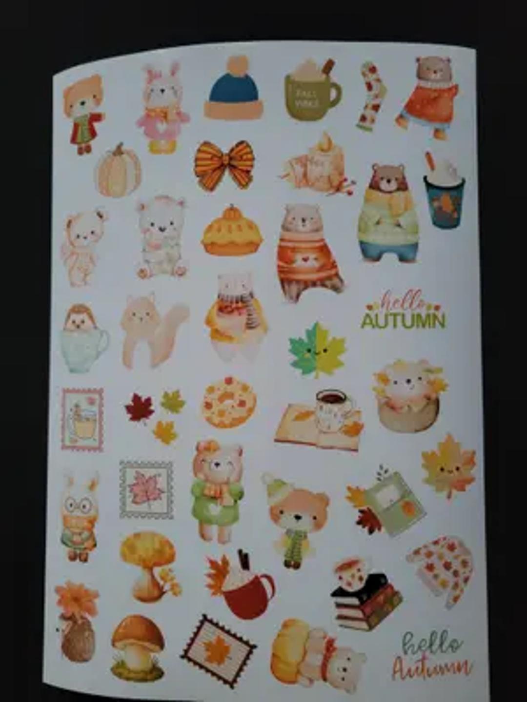 snail mail tmy thumbnail 4