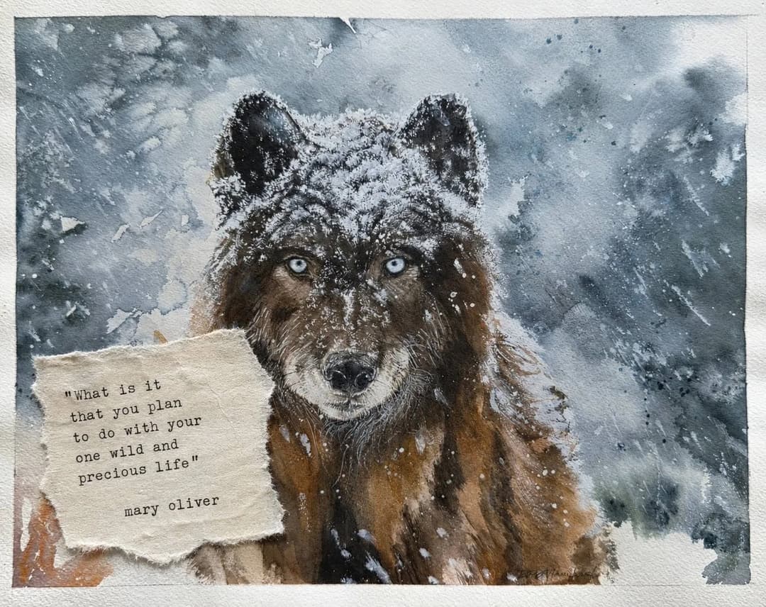 The Roar — image 3