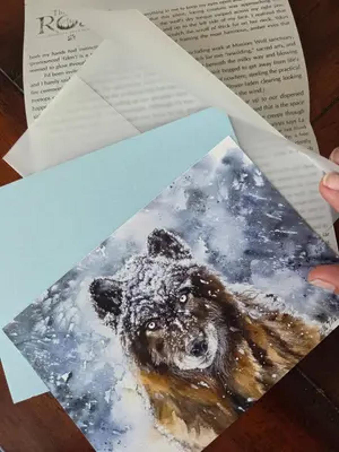 The Roar thumbnail 8