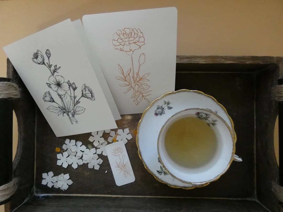 League Of Gentle Correspondence — image 2