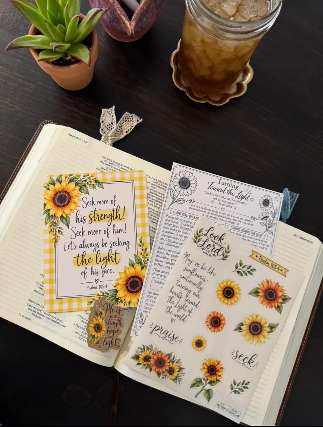 Bloom and Shine — image 1