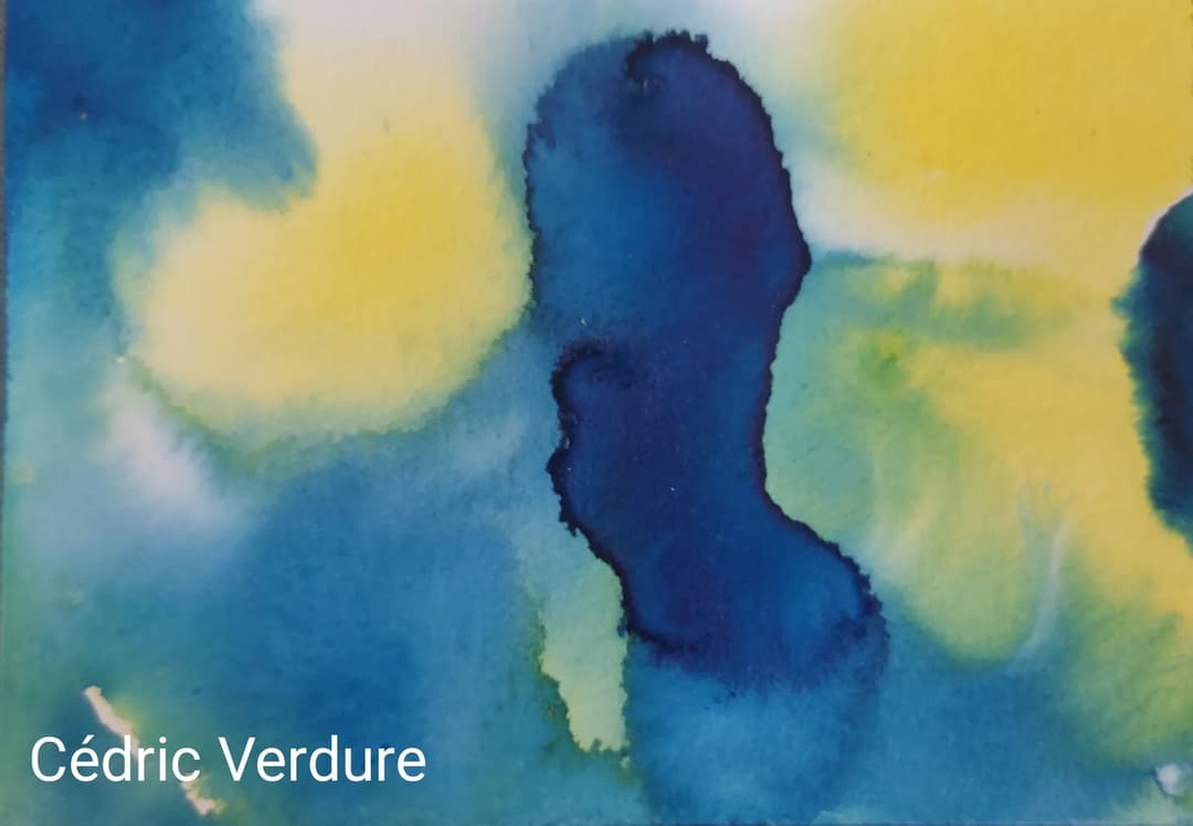 Cédric Verdure Artiste Peintre Sculpteur Vidéaste Musicien Scénographe Lumière Autodidacte — image 8