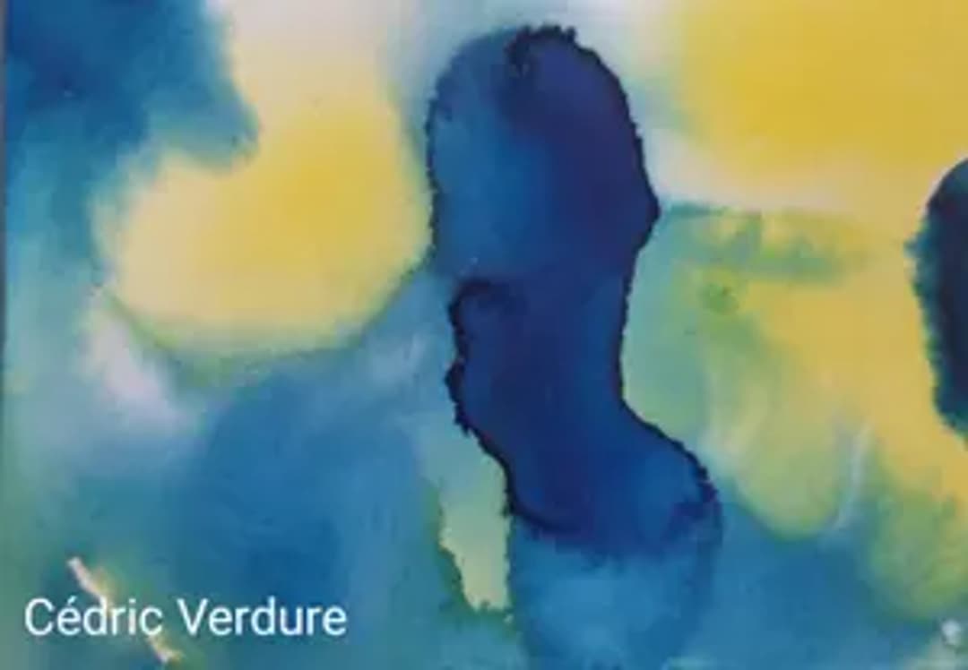 Cédric Verdure Artiste Peintre Sculpteur Vidéaste Musicien Scénographe Lumière Autodidacte  thumbnail 8