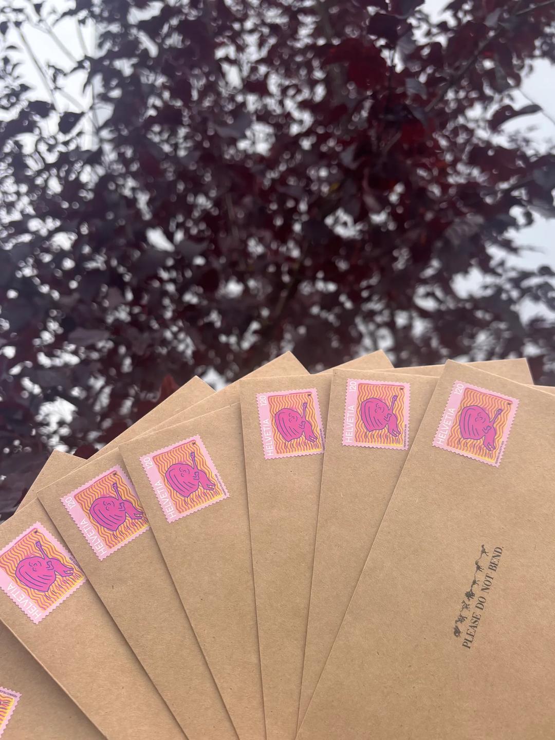Raptor Mail Club — image 6