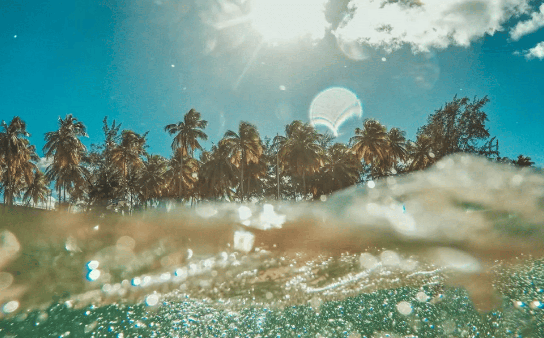 Envoi Summer vibes, photo 1