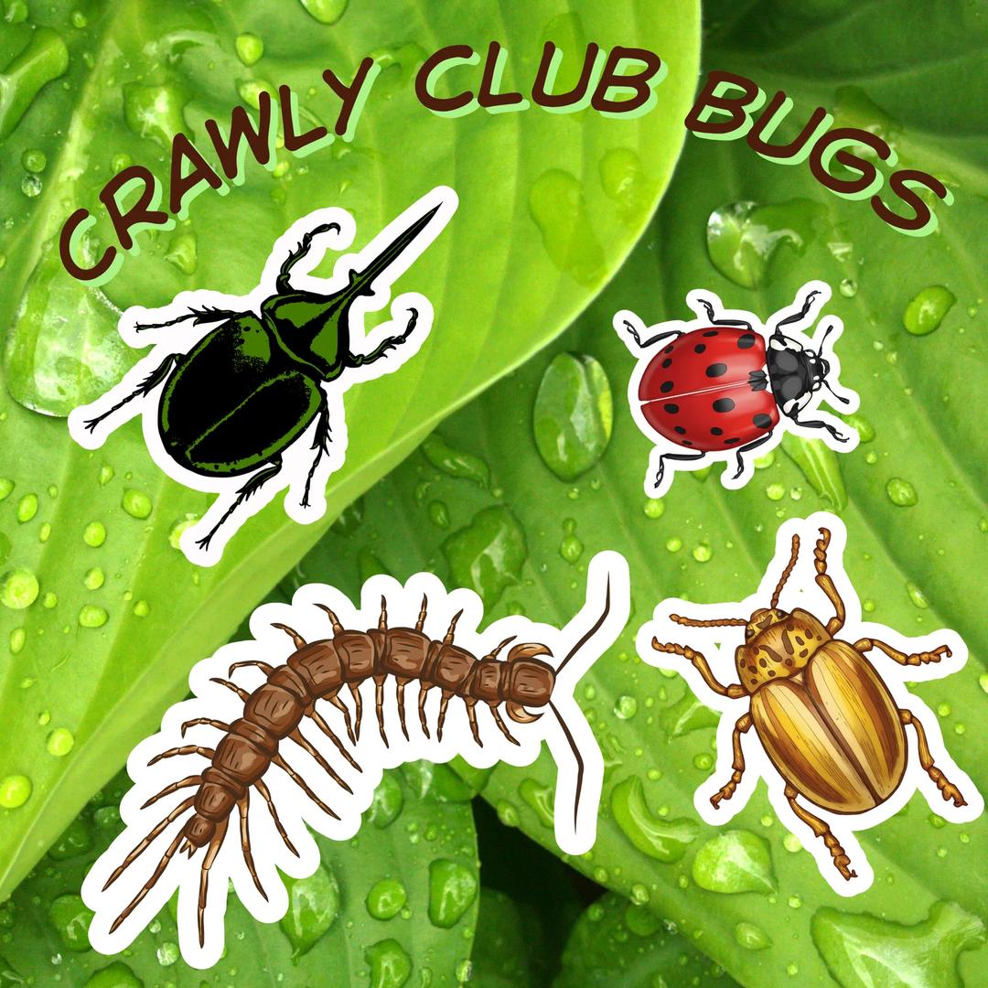 Crawly Club — image 2