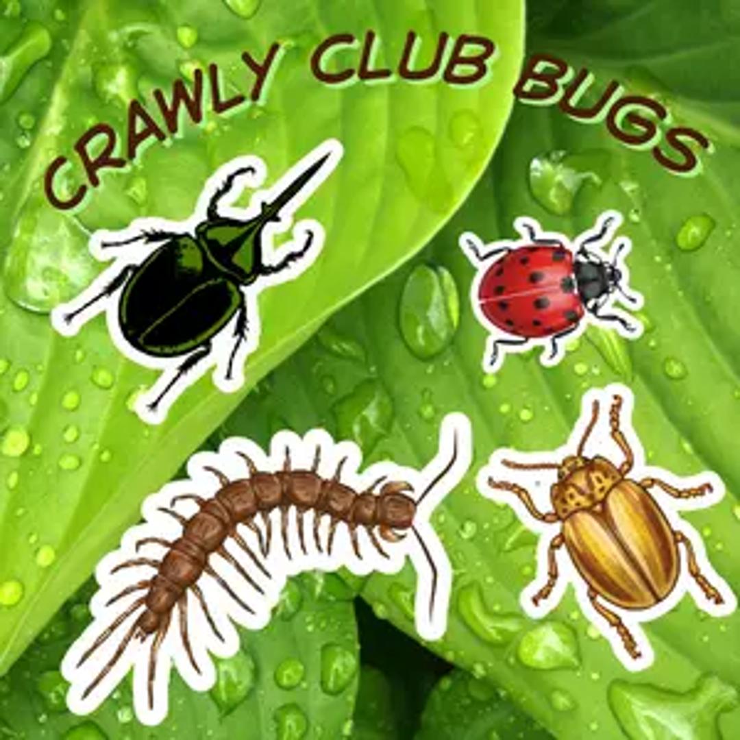 Crawly Club thumbnail 2