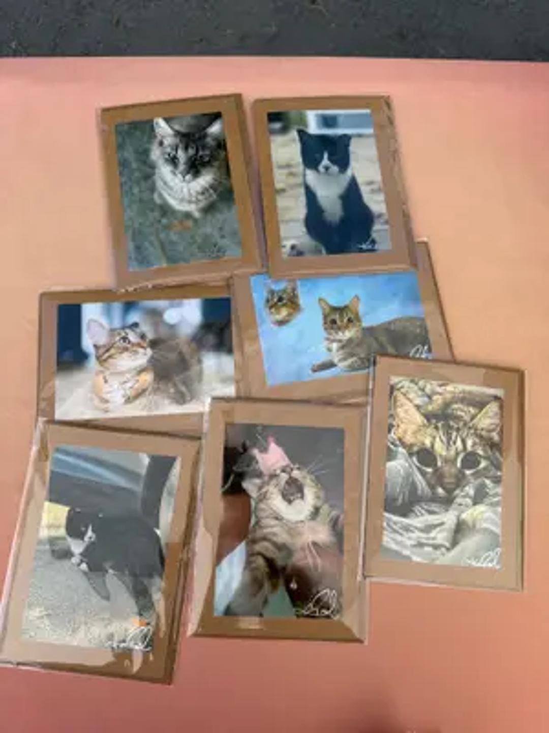 Dulces de Luna Kitty Toys thumbnail 3