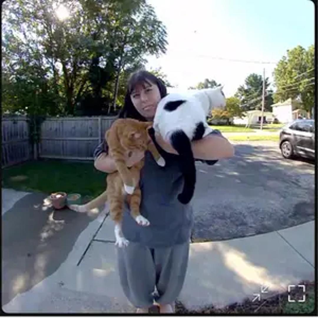 Sincerely Ky thumbnail 2