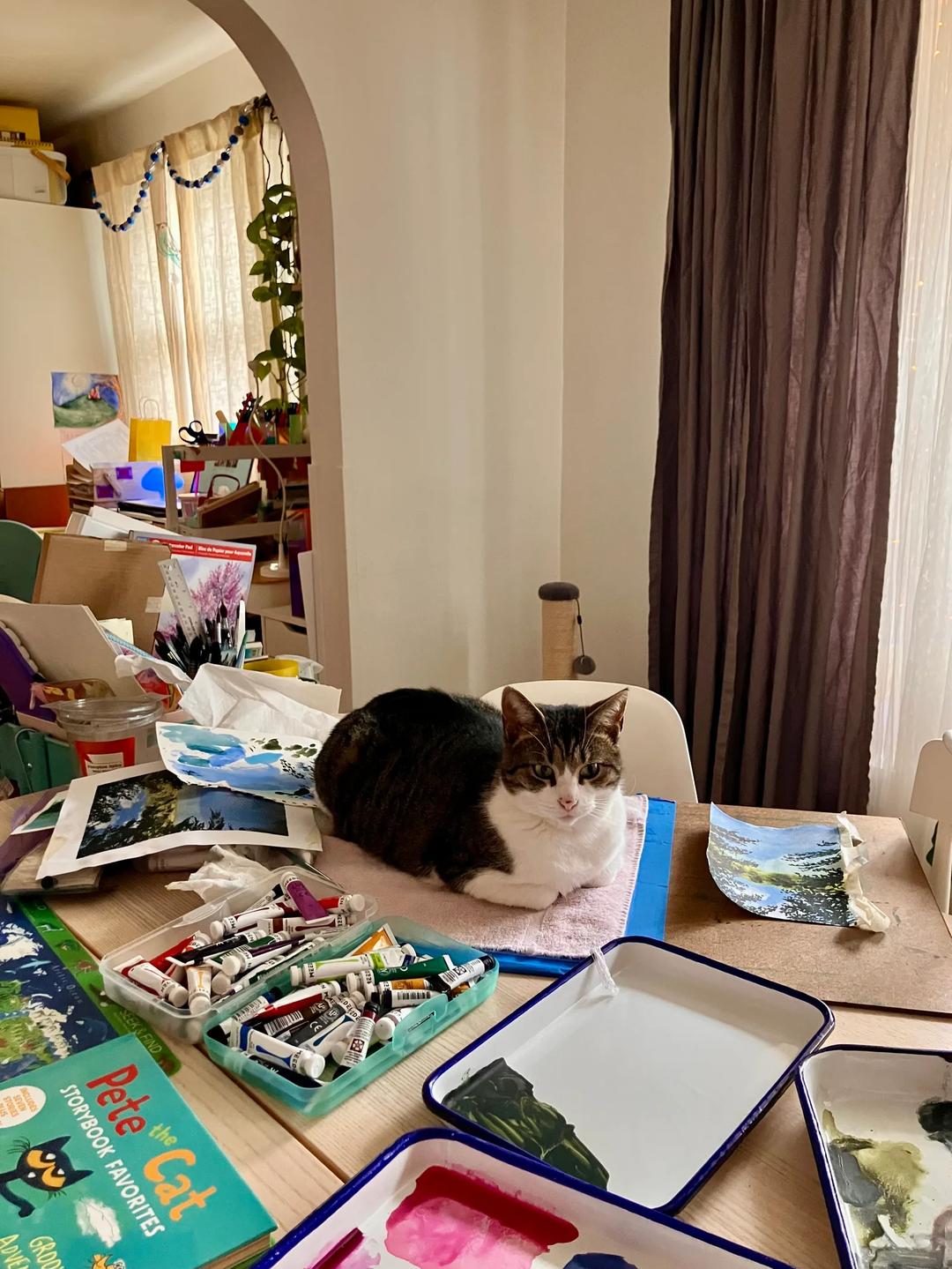 Alice in the Mail — image 3
