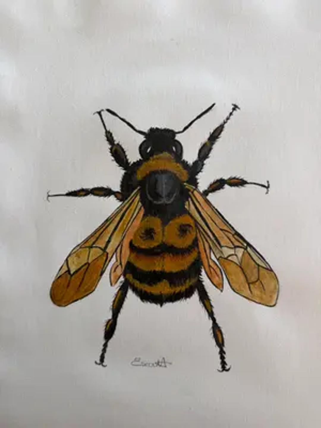 Ellie scott animal art thumbnail 4