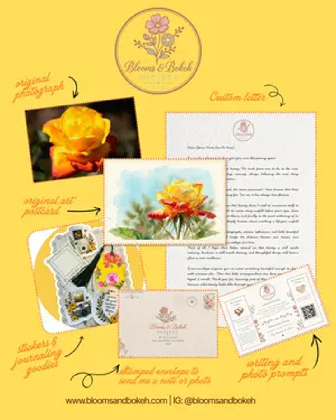 Blooms and Bokeh Society thumbnail 1