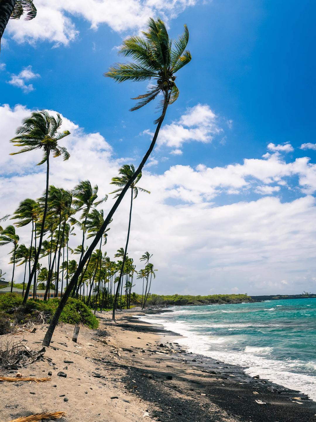 Hawaii Post by Luiz Travels — image 1