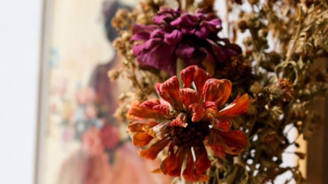 Andrea Jacobsen Monthly Print Club