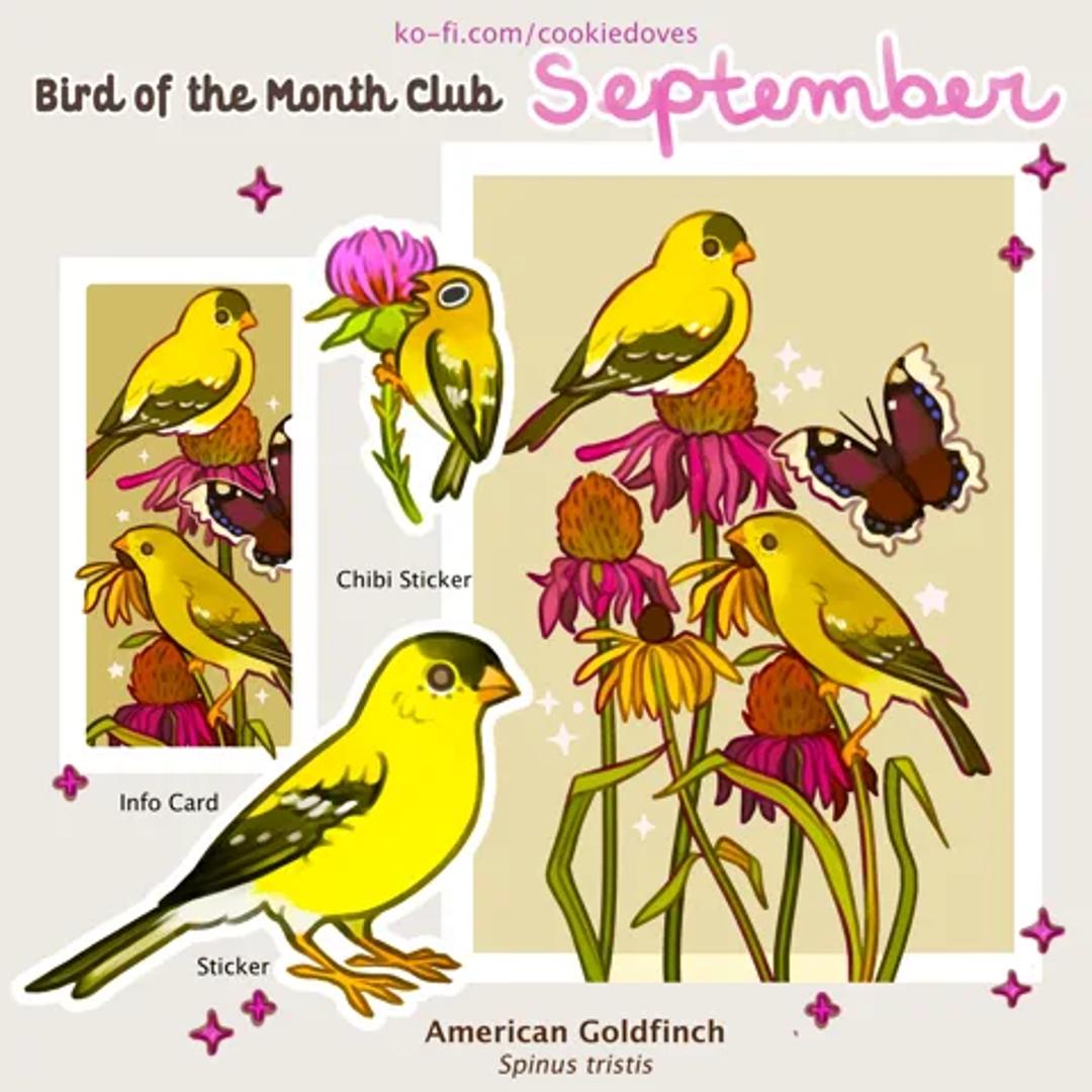 Bird of the Month Club