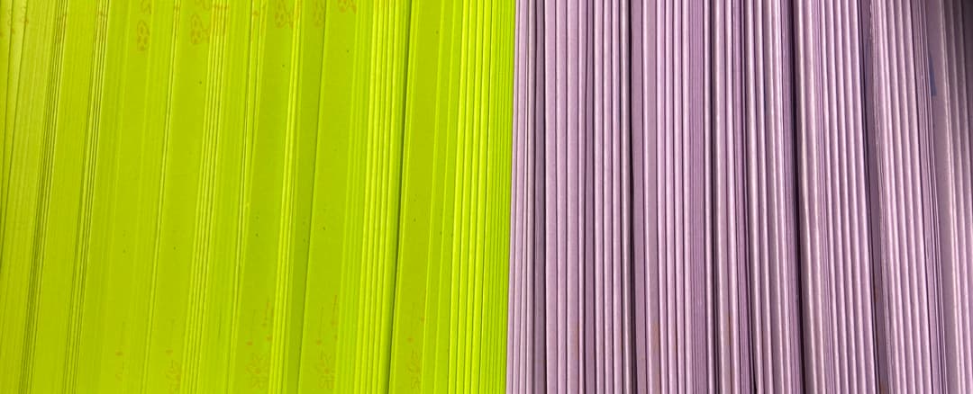 Melon Press Monthly Zine Club