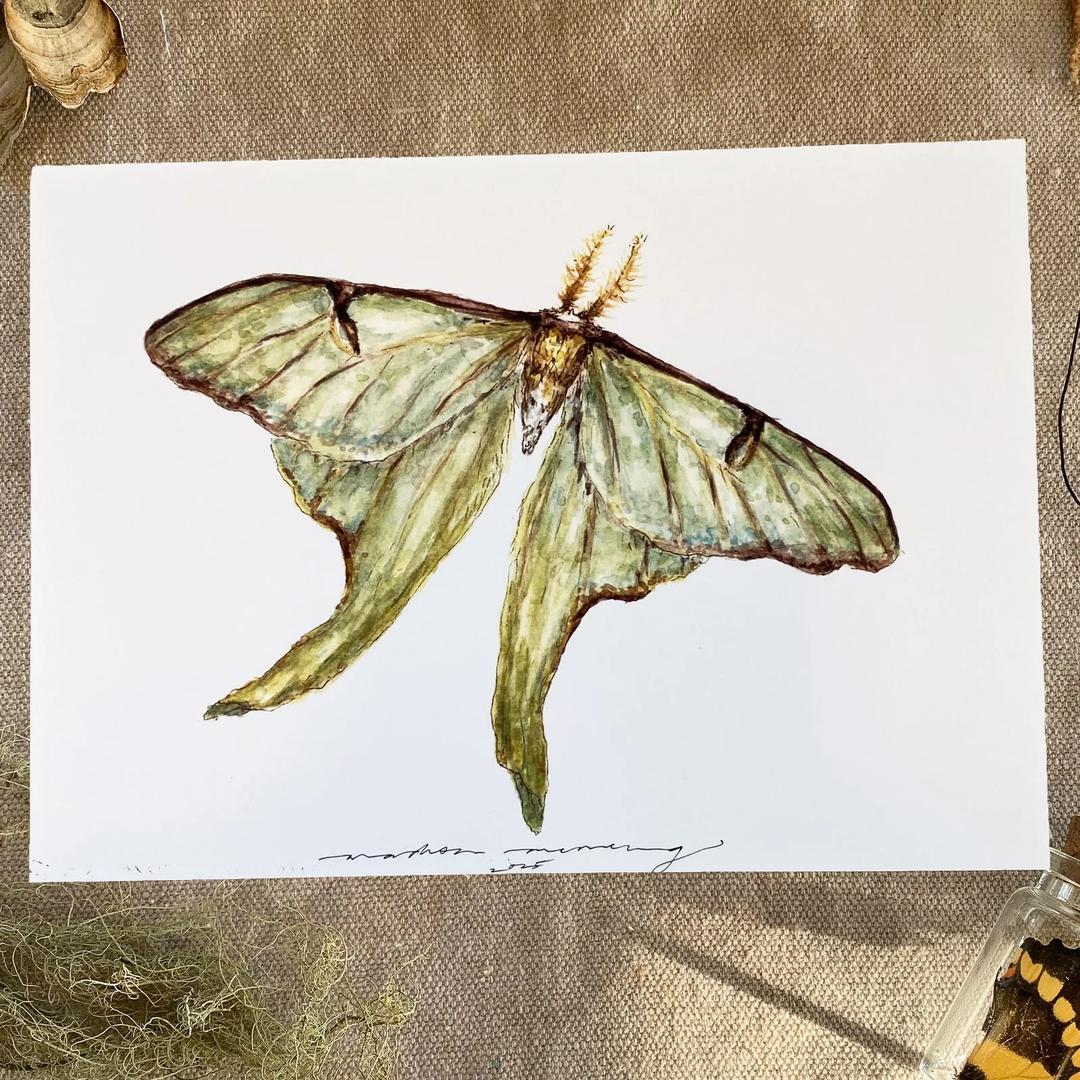 Madison Memering Moth Snail Mail