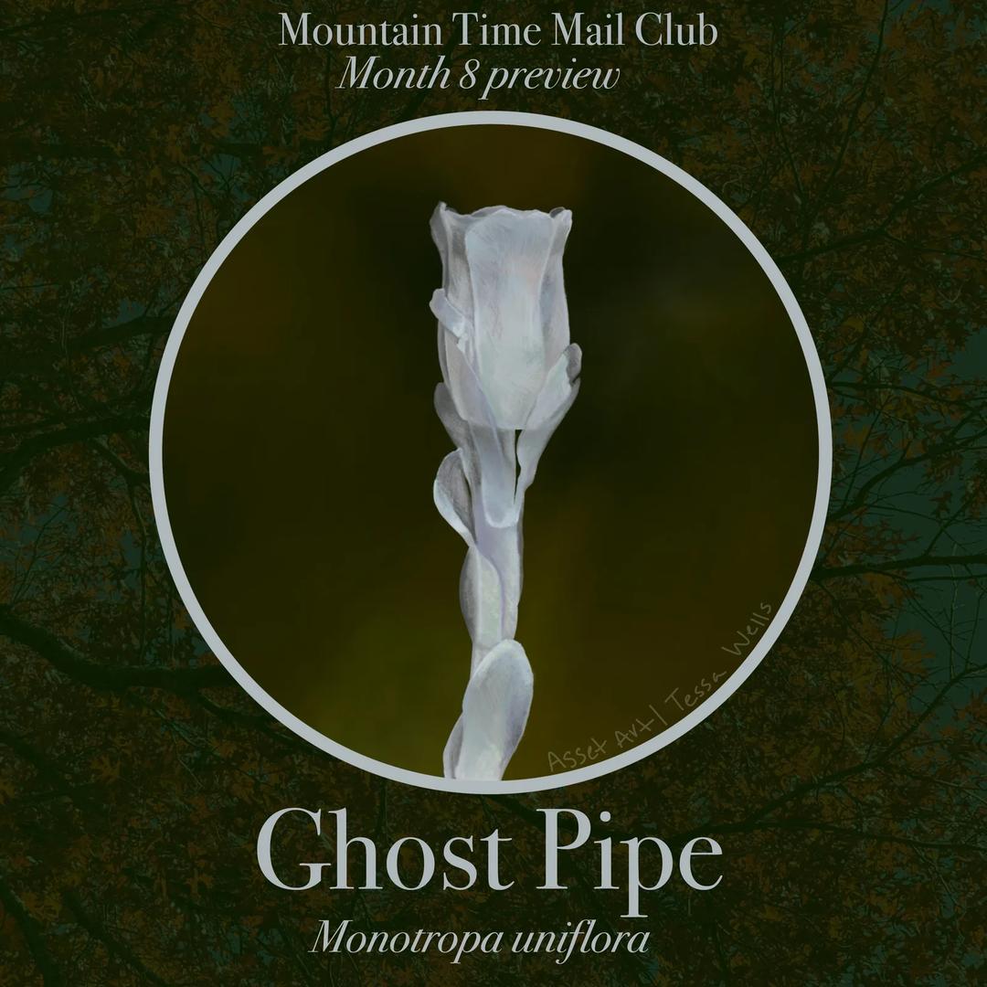 Mountain Time Mail Club