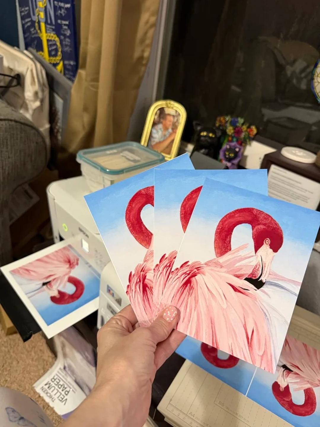 Peacock Post Mail Club