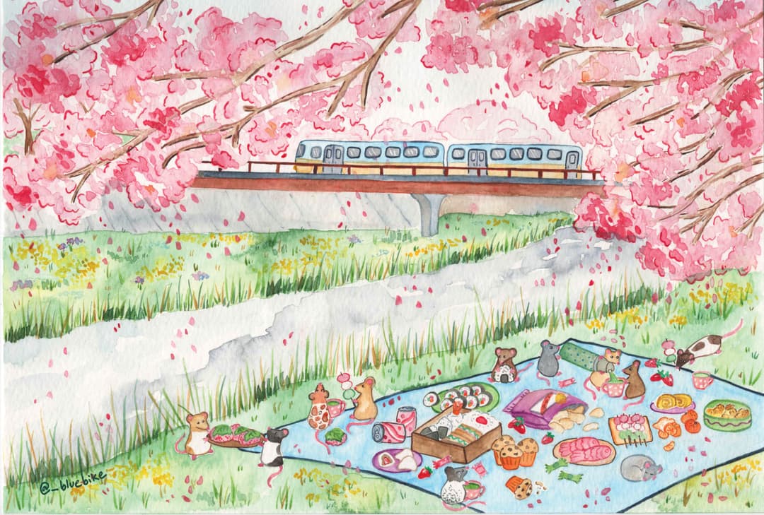 The Blue Bike Postcard Club