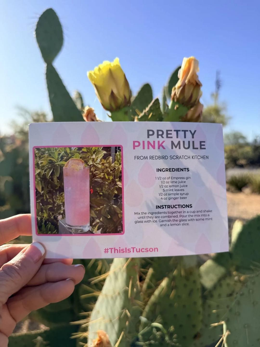 #ThisIsTucson Snail Mail Club