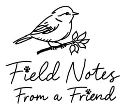 Field Notes from a Friend