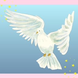 Full Peace Parcel