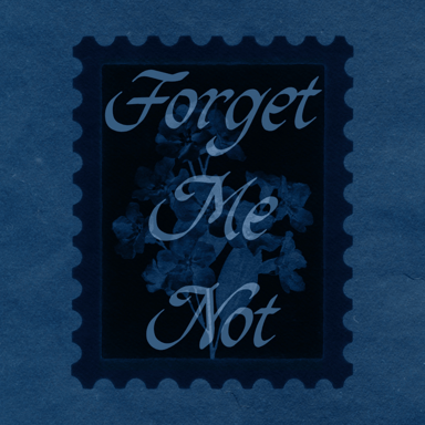 Forget me not