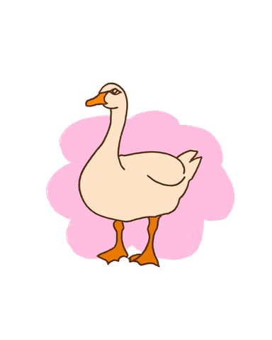 Gänsepost