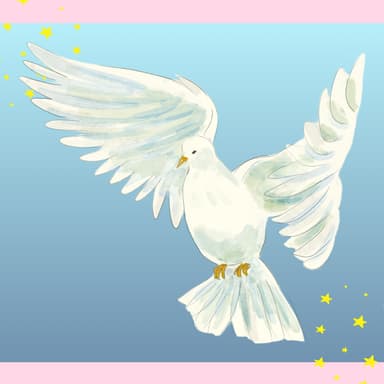 Full Peace Parcel