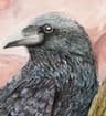 Raven's Post creator