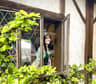 Creador de Pigeon Hut Post
